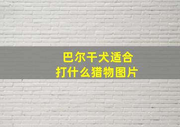 巴尔干犬适合打什么猎物图片