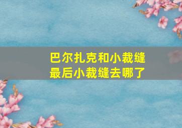 巴尔扎克和小裁缝最后小裁缝去哪了