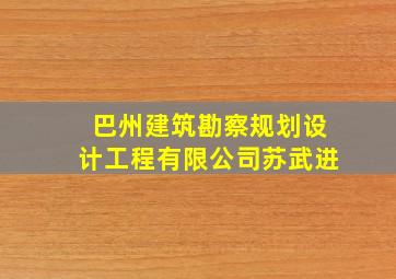 巴州建筑勘察规划设计工程有限公司苏武进