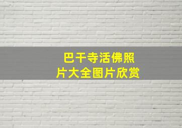 巴干寺活佛照片大全图片欣赏