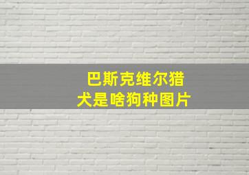 巴斯克维尔猎犬是啥狗种图片