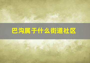 巴沟属于什么街道社区