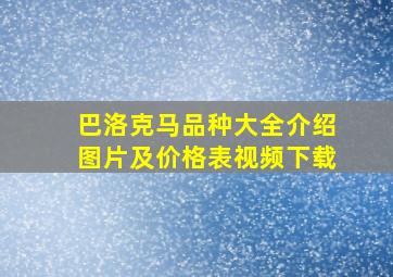 巴洛克马品种大全介绍图片及价格表视频下载