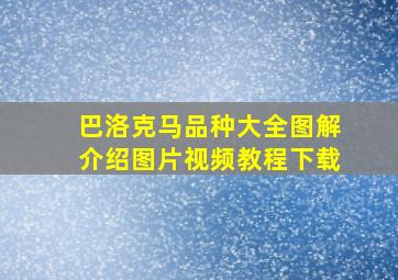 巴洛克马品种大全图解介绍图片视频教程下载