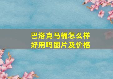 巴洛克马桶怎么样好用吗图片及价格