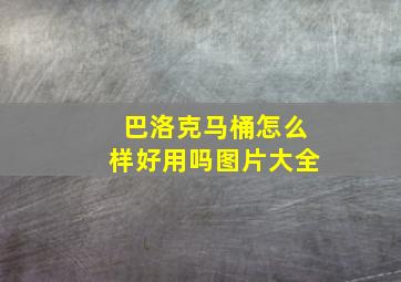 巴洛克马桶怎么样好用吗图片大全