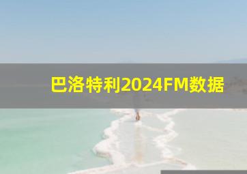 巴洛特利2024FM数据