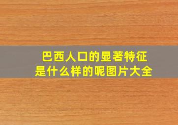 巴西人口的显著特征是什么样的呢图片大全