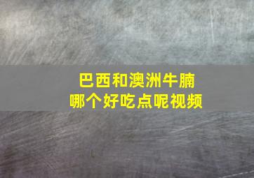 巴西和澳洲牛腩哪个好吃点呢视频