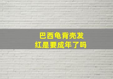 巴西龟背壳发红是要成年了吗