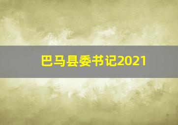 巴马县委书记2021