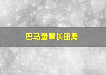 巴马董事长田勇