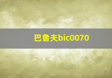 巴鲁夫bic0070