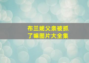 布兰妮父亲被抓了嘛图片大全集