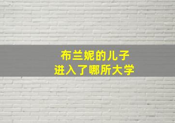 布兰妮的儿子进入了哪所大学