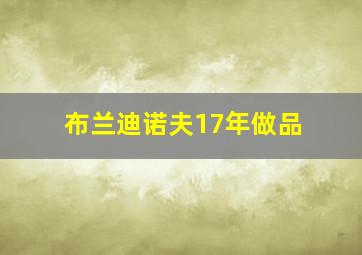 布兰迪诺夫17年做品