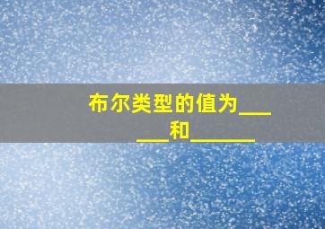 布尔类型的值为______和______