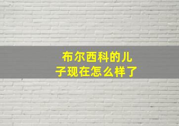 布尔西科的儿子现在怎么样了