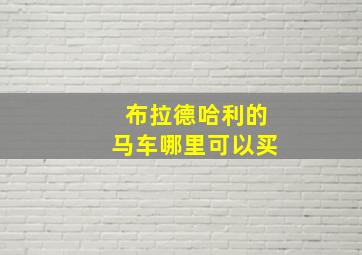 布拉德哈利的马车哪里可以买