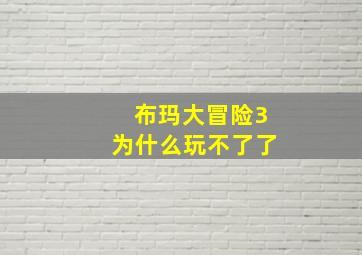 布玛大冒险3为什么玩不了了