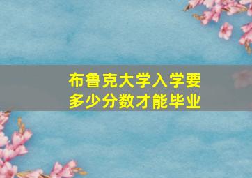 布鲁克大学入学要多少分数才能毕业