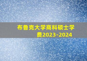 布鲁克大学商科硕士学费2023-2024