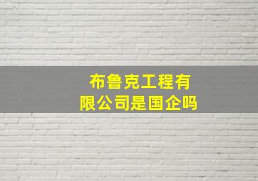 布鲁克工程有限公司是国企吗