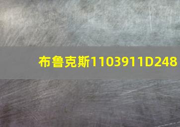 布鲁克斯1103911D248