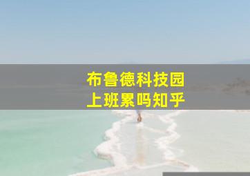 布鲁德科技园上班累吗知乎