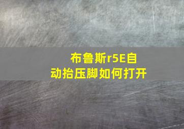 布鲁斯r5E自动抬压脚如何打开