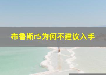 布鲁斯r5为何不建议入手