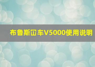 布鲁斯冚车V5000使用说明