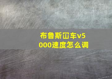 布鲁斯冚车v5000速度怎么调