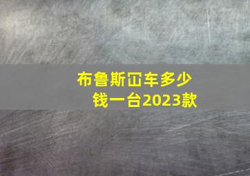 布鲁斯冚车多少钱一台2023款