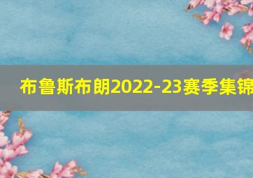 布鲁斯布朗2022-23赛季集锦