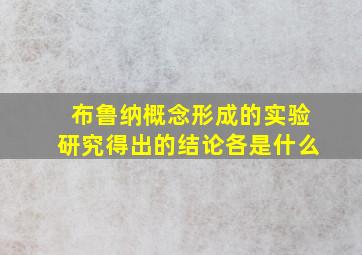 布鲁纳概念形成的实验研究得出的结论各是什么