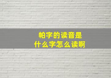 帕字的读音是什么字怎么读啊