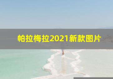 帕拉梅拉2021新款图片