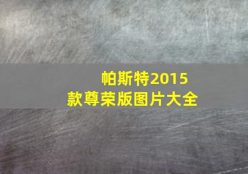 帕斯特2015款尊荣版图片大全