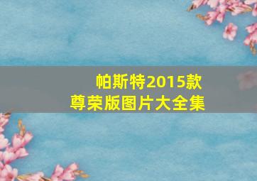 帕斯特2015款尊荣版图片大全集