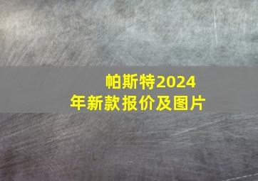 帕斯特2024年新款报价及图片