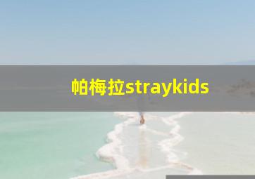 帕梅拉straykids