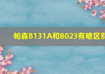 帕森8131A和8023有啥区别