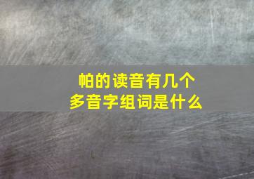 帕的读音有几个多音字组词是什么