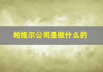 帕维尔公司是做什么的