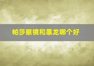 帕莎眼镜和暴龙哪个好