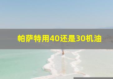 帕萨特用40还是30机油