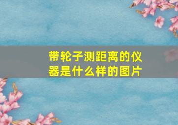 带轮子测距离的仪器是什么样的图片