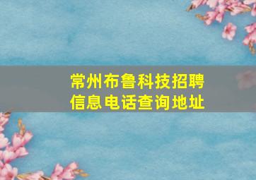 常州布鲁科技招聘信息电话查询地址