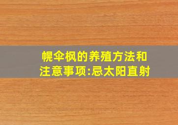 幌伞枫的养殖方法和注意事项:忌太阳直射